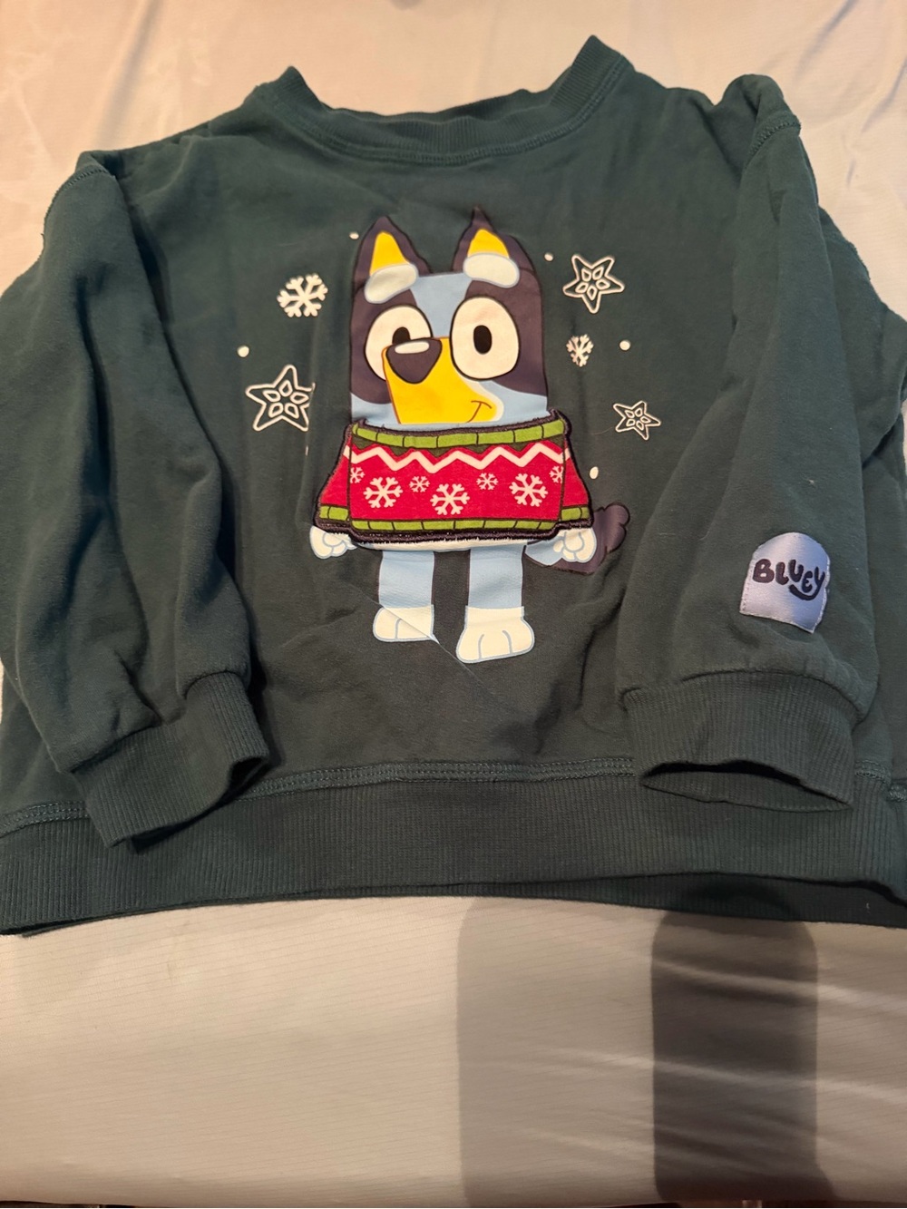 Kids' Green Pullover Sweatshirt with Bluey Holiday Graphic
